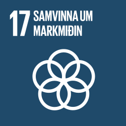Samvinna um markmiðin - Markmið 17